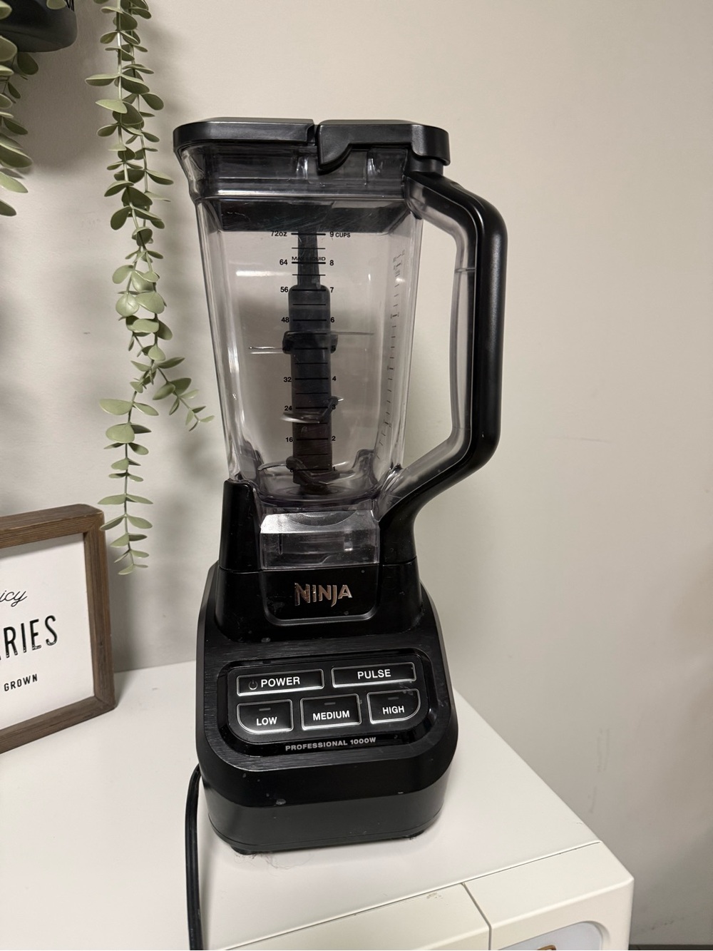Ninja Professional 1000w blender